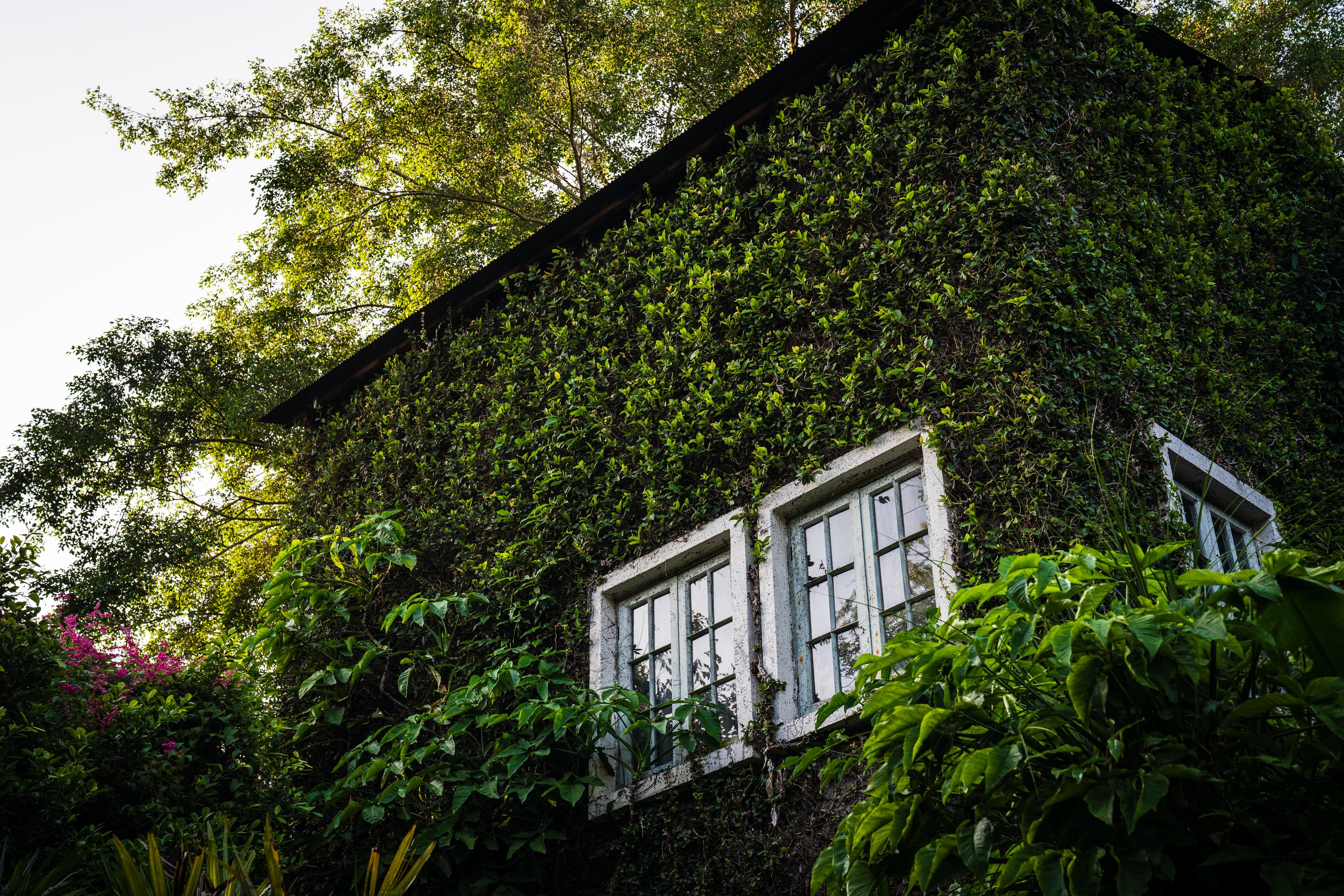 Kaomai Lanna Resort San Pa Tong Ngoại thất bức ảnh